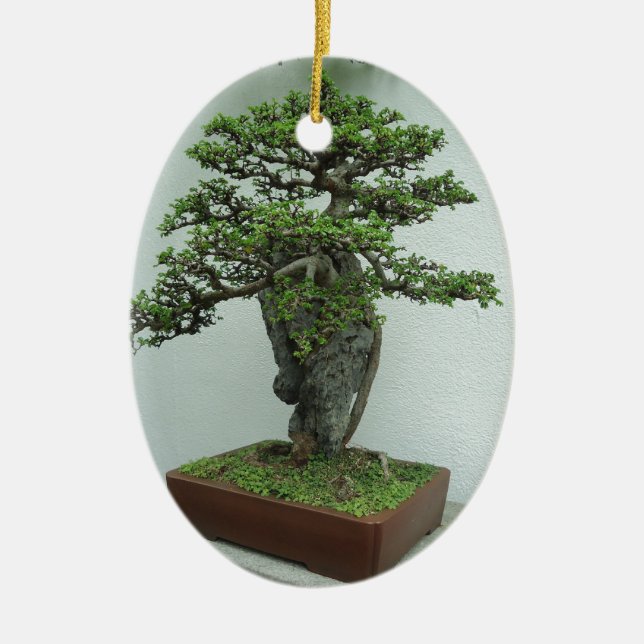 bonsai ceramic ornament (Front)