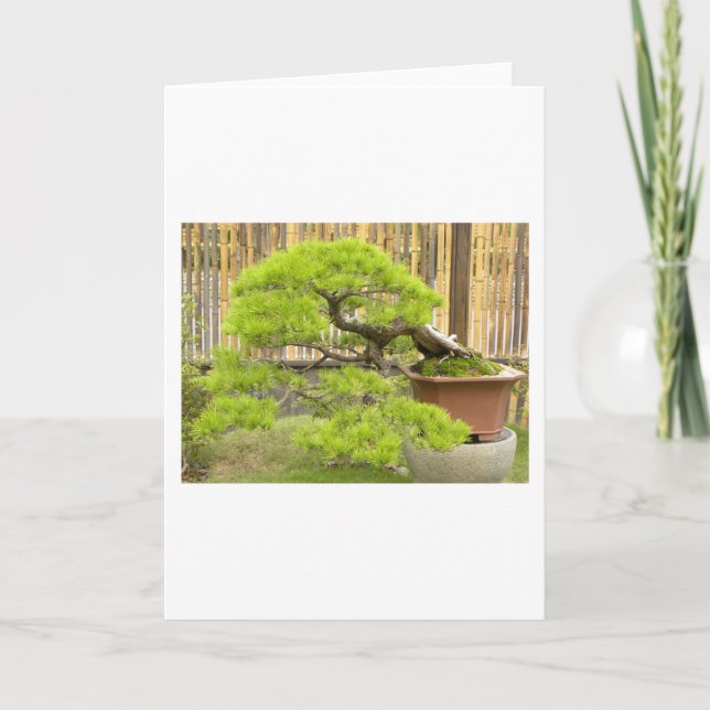 Bonsai/Chinese Potted Landscape Holiday Card (Front)