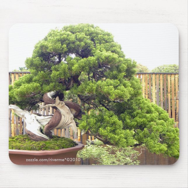 Bonsai/Chinese Potted Landscape Mouse Pad (Front)