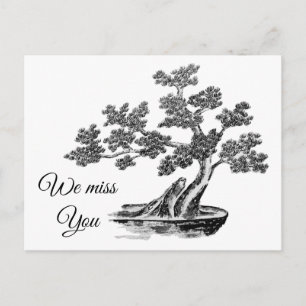 Bonsai - Chinese Style - black and white Postcard