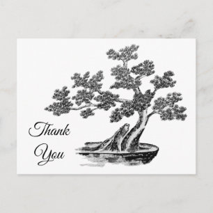 Bonsai - Chinese Style - black and white Postcard
