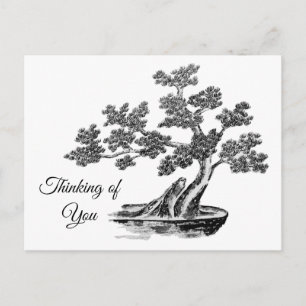 Bonsai - Chinese Style - black and white Postcard