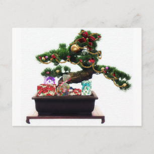 Bonsai Christmas Tree Holiday Postcard