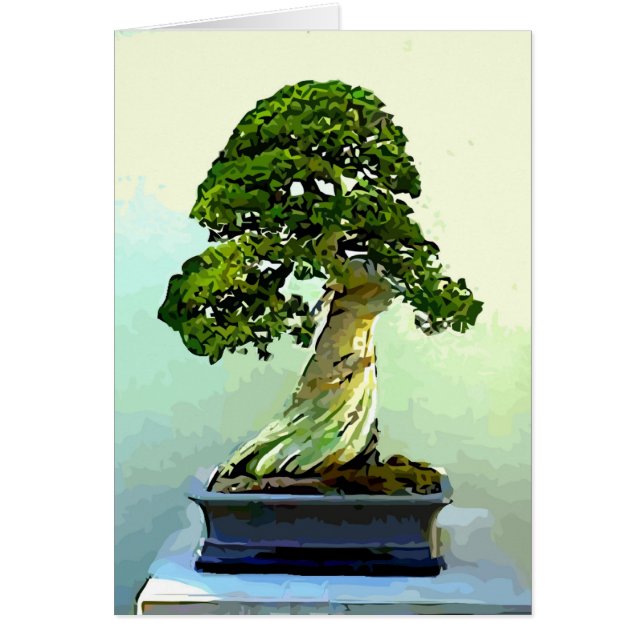 Bonsai Cypress Tree (Front)