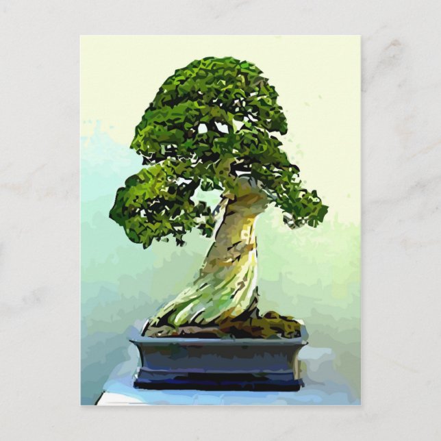 Bonsai Cypress Tree Postcard (Front)