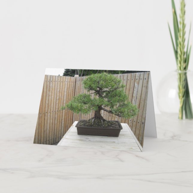Bonsai Mugo Pine Thank You Card (Front)