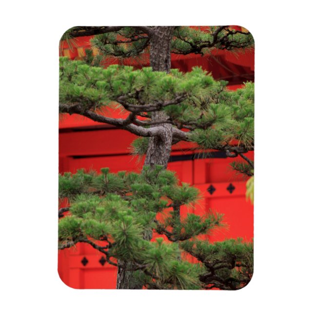 Bonsai Pine Tree Magnet (Vertical)