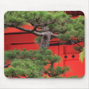 Bonsai Pine Tree Mouse Pad