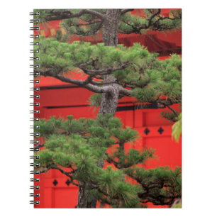 Bonsai Pine Tree Notebook
