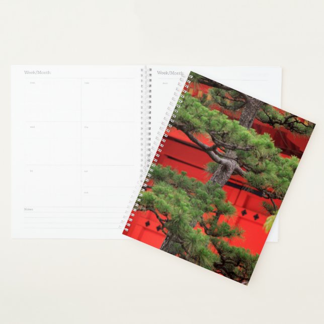 Bonsai Pine Tree Planner (Display)