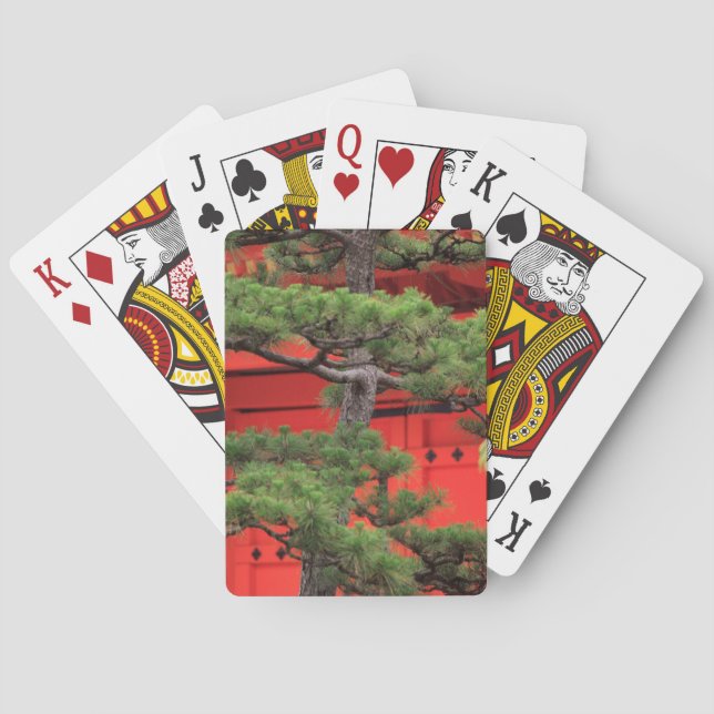 Bonsai Pine Tree Playing Cards (Back)