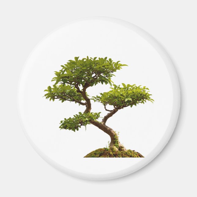 Bonsai plant magnet (Front)