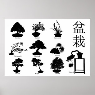 Bonsai Tree Basic Styles 10 Poster