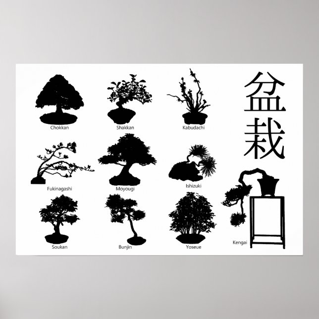 Bonsai Tree Basic Styles 10 Poster (Front)