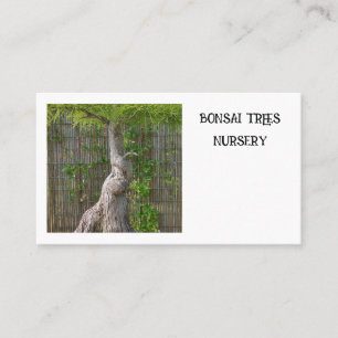 Bonsai Tree Business Card