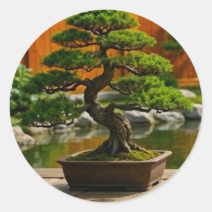 Bonsai Tree from the Dragon of Balance Classic Round Sticker