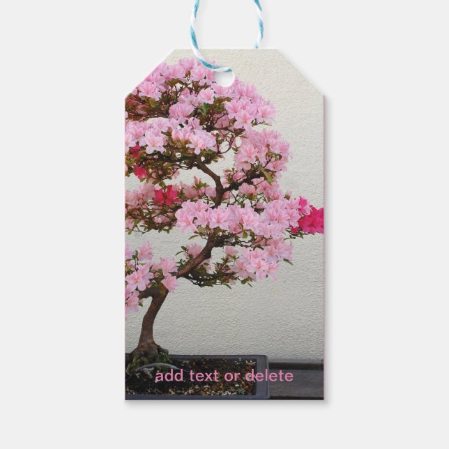 Bonsai Tree Gift Tags (Front)