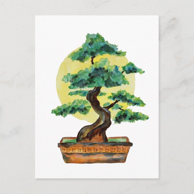 Bonsai Tree Sunshine Postcard (Front)