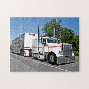 Bontrager's 379 Puzzle