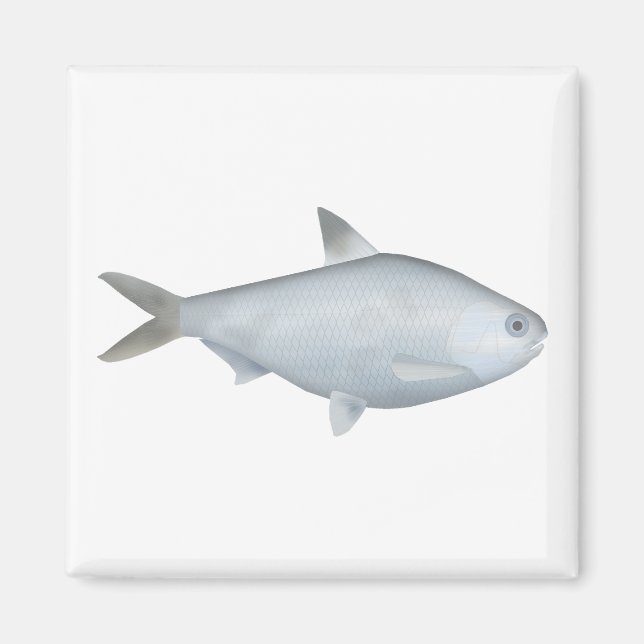 Bony Bream Magnet (Front)