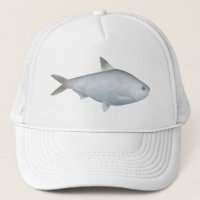 Bony Bream