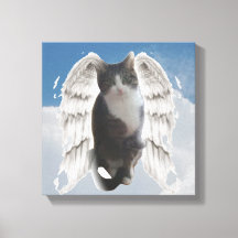 Boo Angel 30 x 30cm Stretched Canvas Print