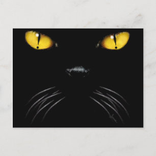 Boo Blank Postcard