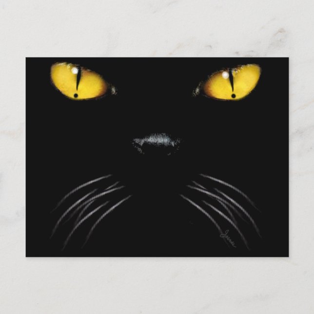 Boo Blank Postcard (Front)