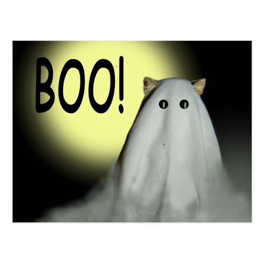 Boo! Halloween Card