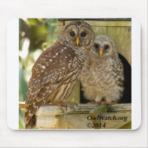 Boo & Mum - 2014 - Mousepad