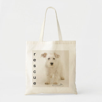 Boo, shelter dog on canvas shopping bag