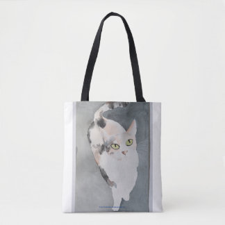 Booboo and Oka Oka cat bag