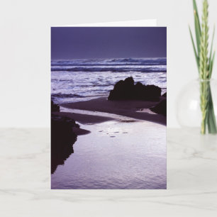 Boobys Bay Card