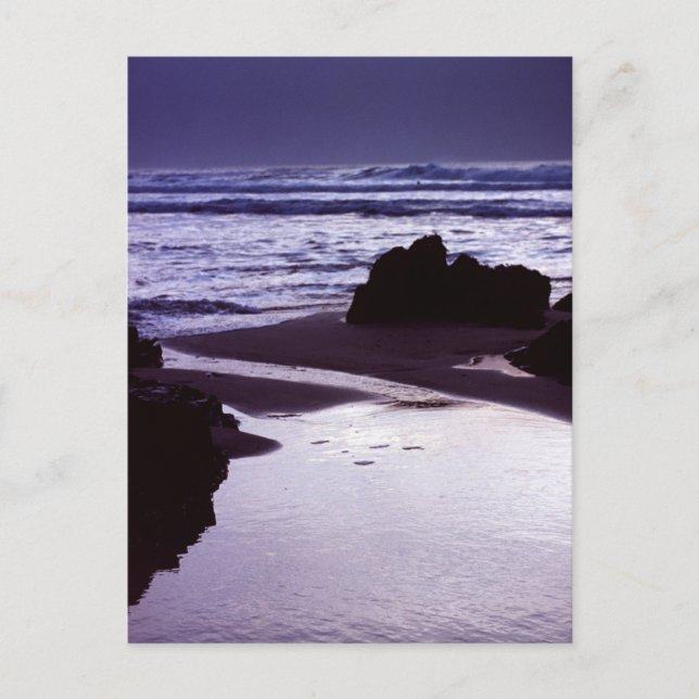 Boobys Bay Postcard (Front)