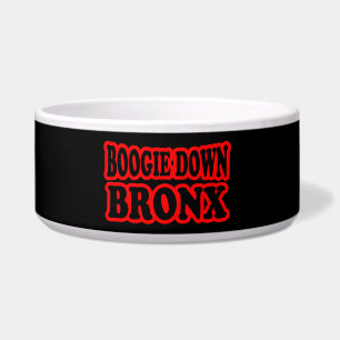 Boogie Down Bronx, NYC