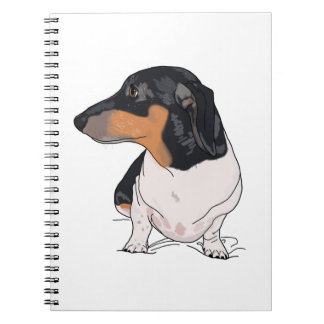 Boogie Notebook