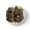 Book Archaeologist Button