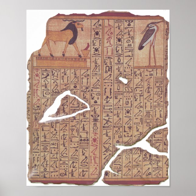 Book of the Dead - Ani Poster (Front)