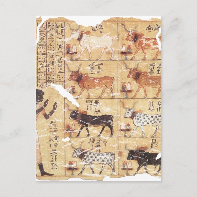 Book of the Dead-Maiherperi-1479bc Postcard (Front)