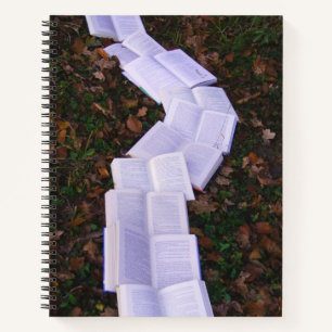 Book Path Reading Reader