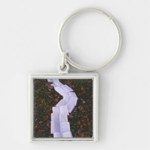 Book Path Reading Reader Key Ring