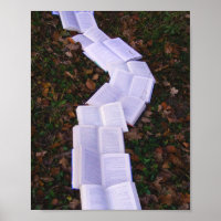 Book Path Reading Reader