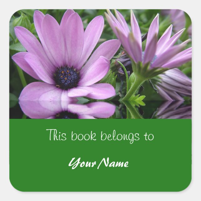 book plate, purple daisy flowers square sticker (Front)