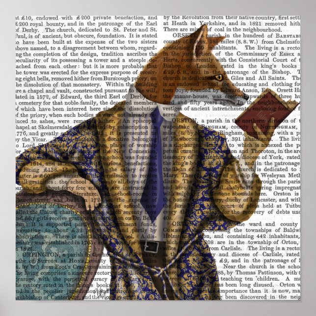 Book Reader Fox Poster (Front)