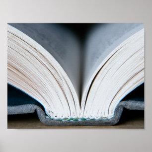 Book Spine (poster) Poster