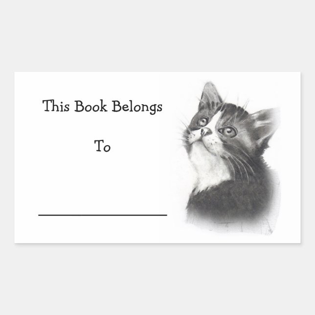 Book Stickers: Pencil Drawing of Kitten Rectangular Sticker (Front)