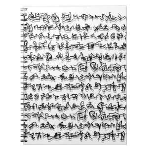 Book with ancient writing