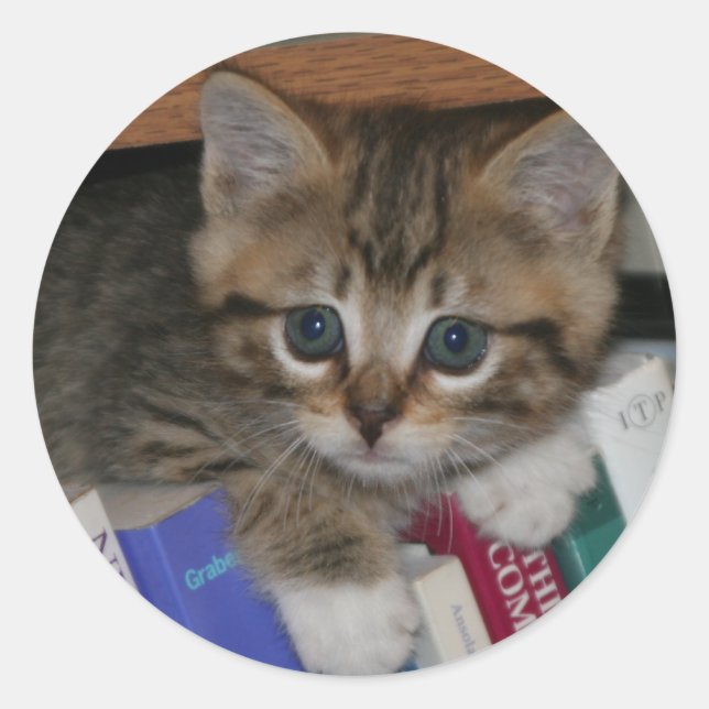 Book worm sticker (Front)