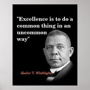 Booker T. Washington Quote On Excellence Poster