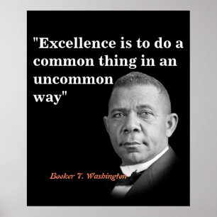 Booker T. Washington Quote On Excellence Poster